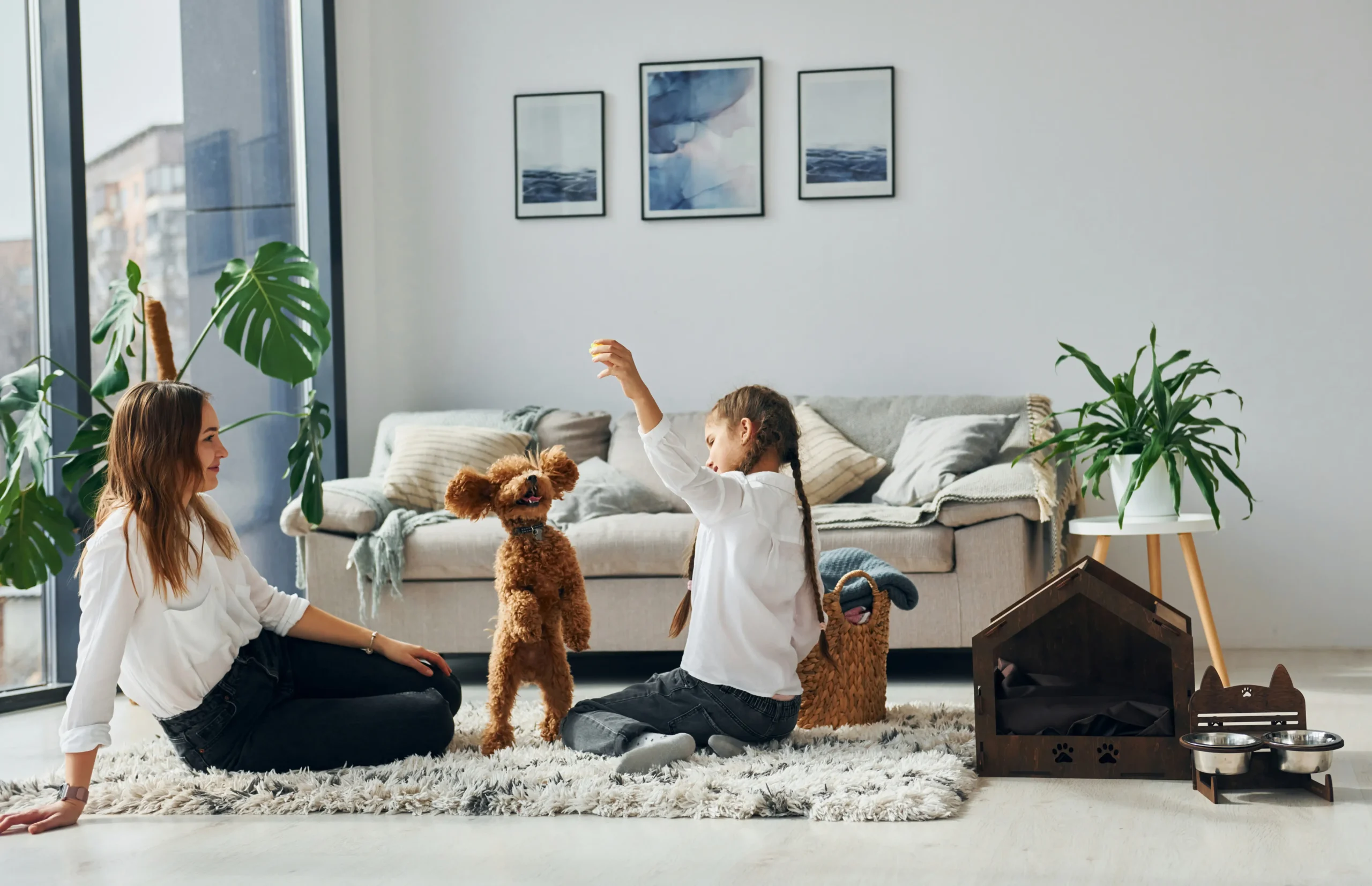 dicas para pets em apartamento