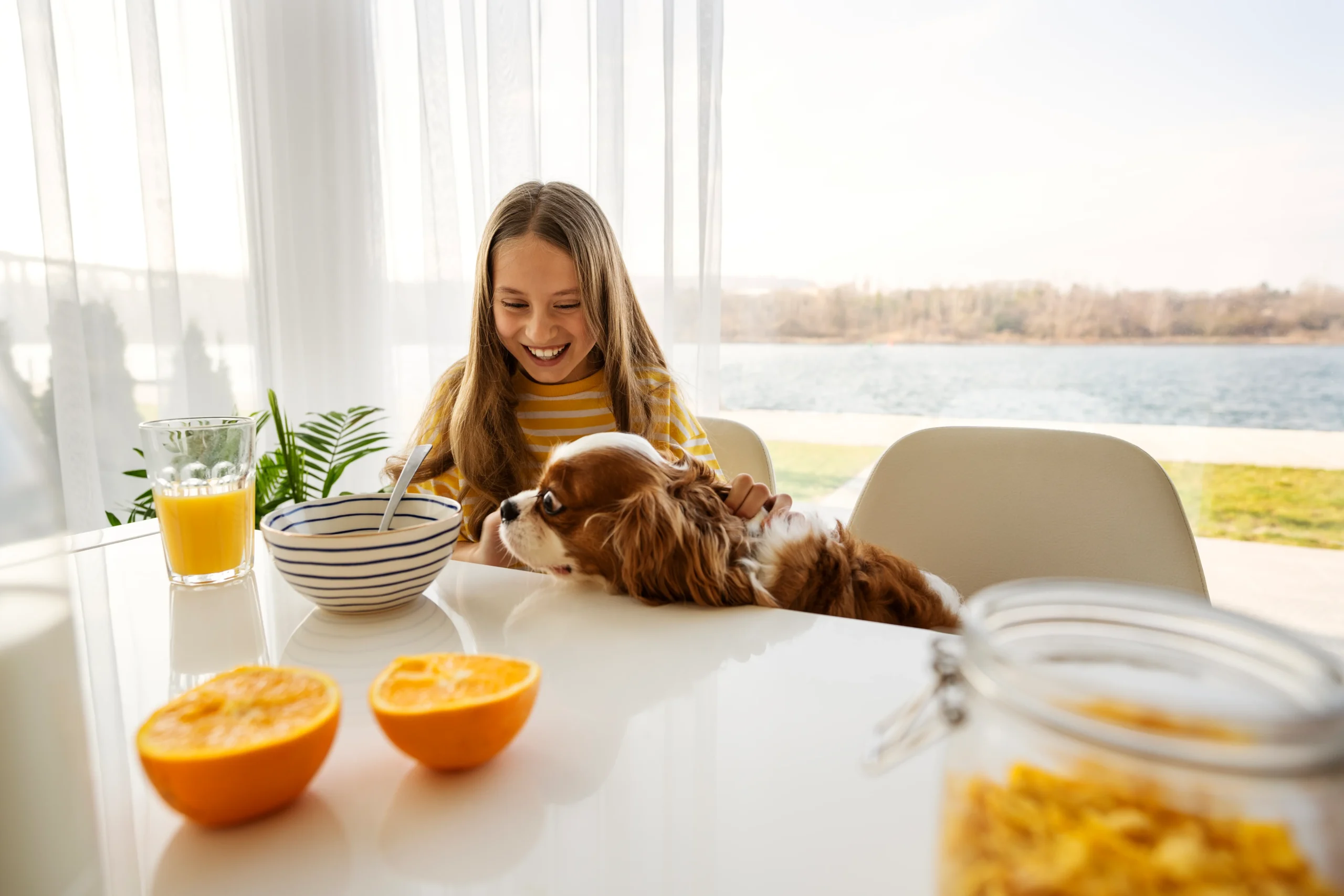 O que o cachorro não pode comer de jeito nenhum?