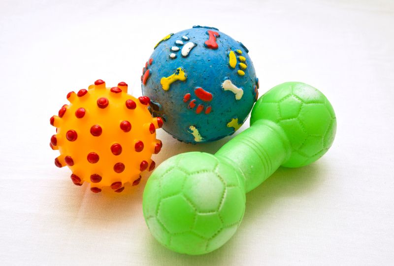 Qual é o melhor brinquedo para cachorro morder?