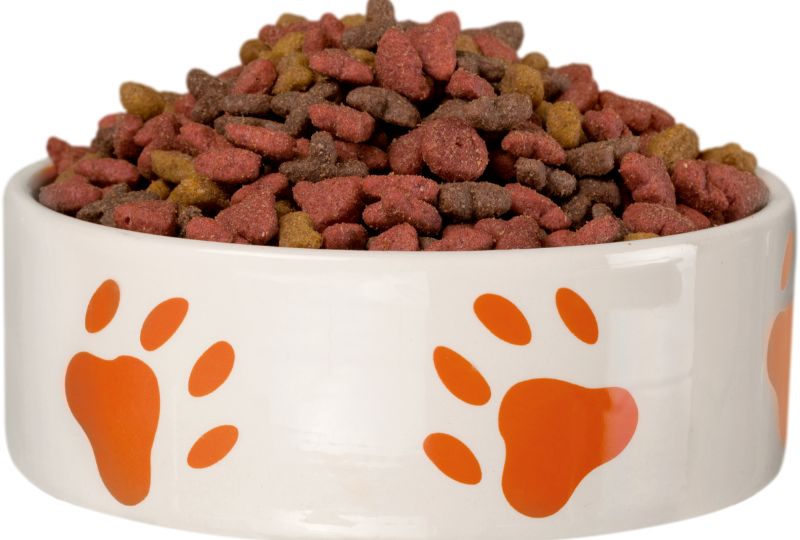 Com quantos meses posso começar a dar ração para meu filhote de cachorro?